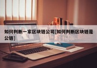 如何判断一家区块链公司[如何判断区块链是公链]